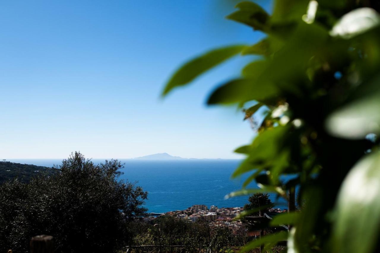 Casa Floriana Apartment Vico Equense Luaran gambar